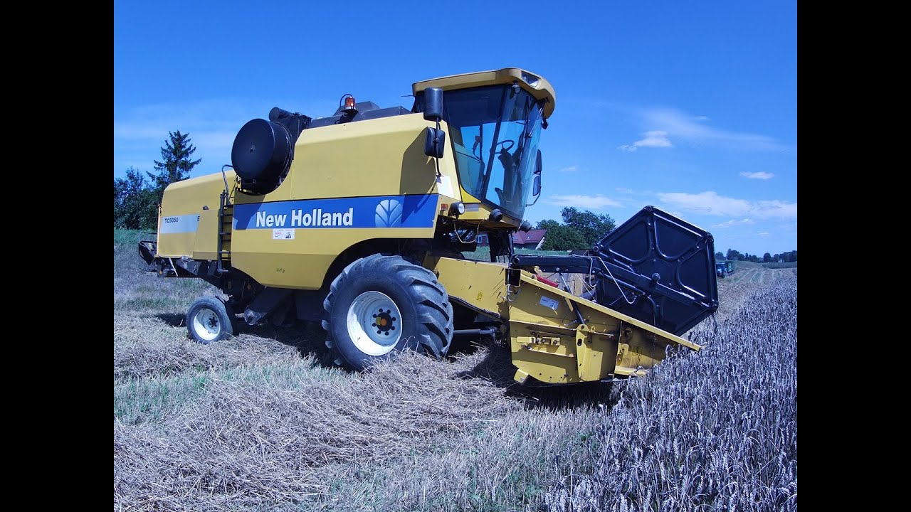ŻNIWA PSZENICY OZIMEJ 2025 / GR MAGIERA / NEW HOLLAND TC 5050 / NEW HOLLAND T6.180 DC / NH T6070