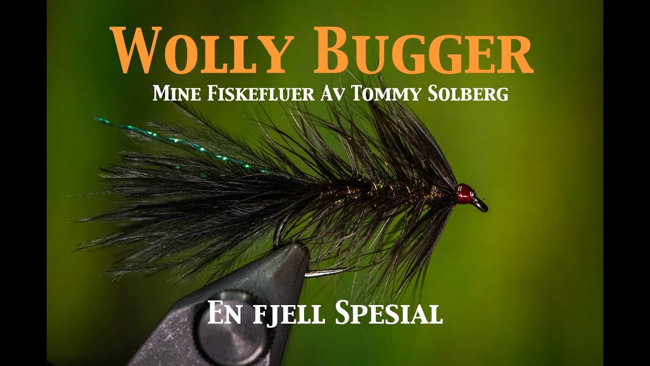 Woolly Bugger - Fjell spesial. Mine fiskefluer og imitasjonsfluefiske. Fluebinding.