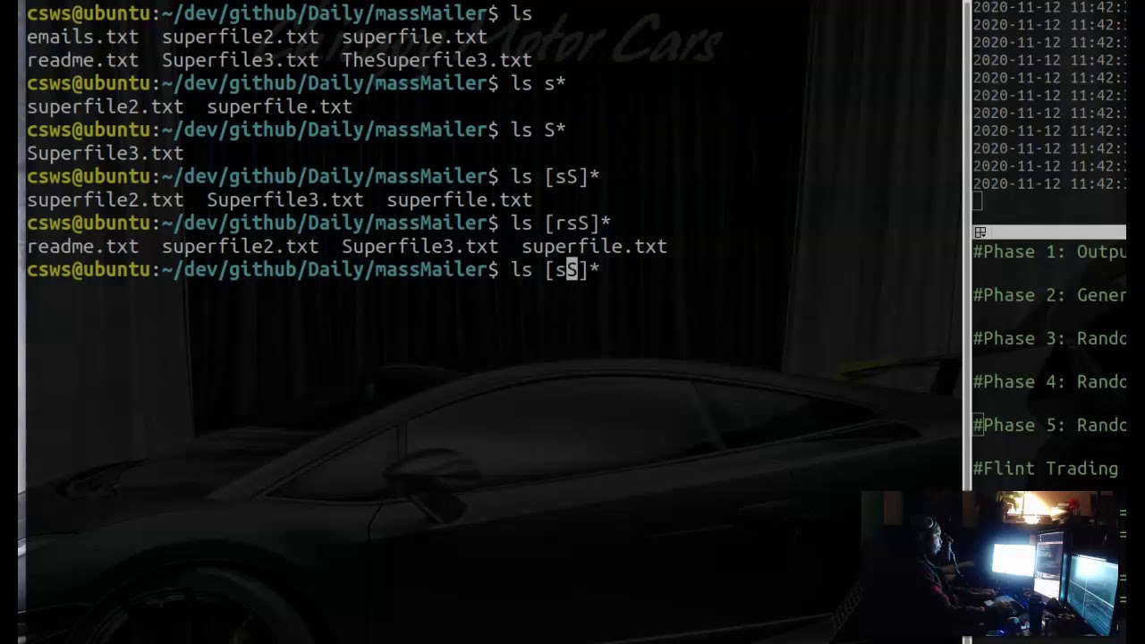 Linux commands: [ls] How to filter by files beginning with t