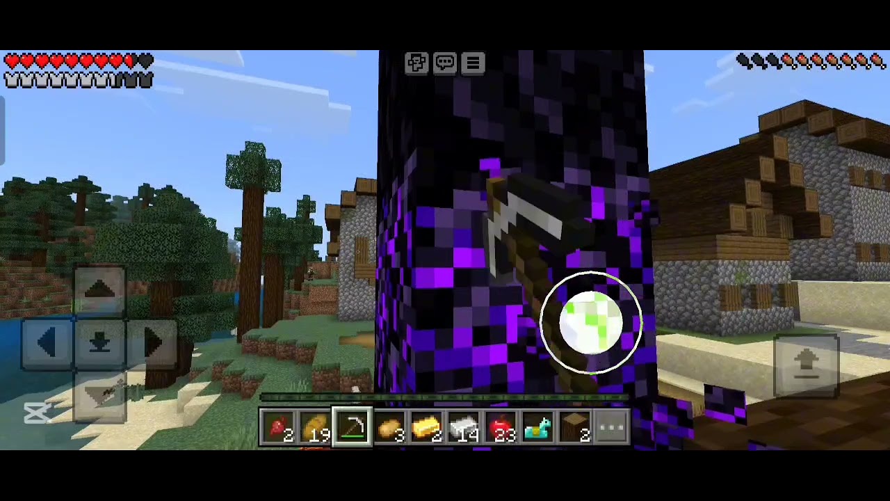 Survival video