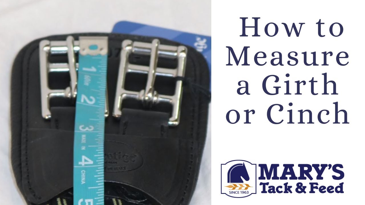 How to Measure a Girth or Cinch