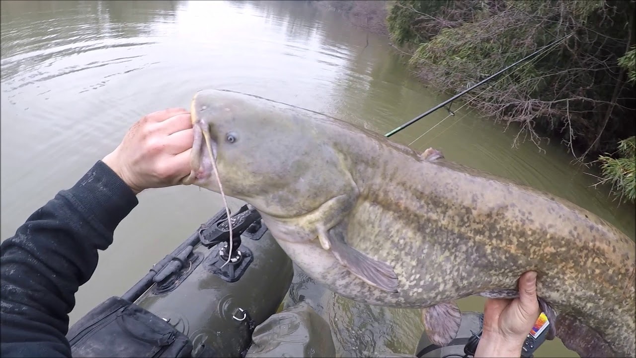 Zeck fishing vertical jig touche en direct