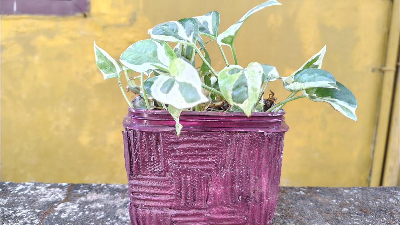 Flower pot From Waste Material 