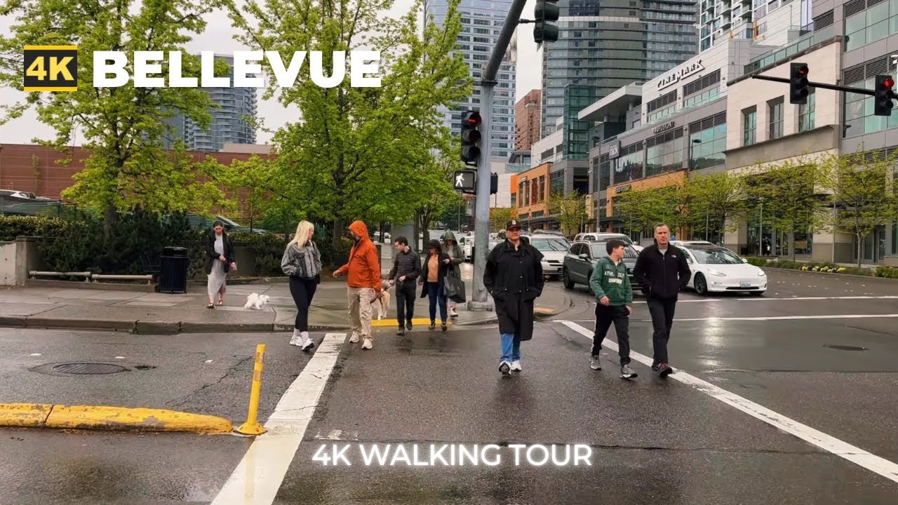 [4k] BELLEVUE City Walk - In The Rain : Walking Downtown Bellevue