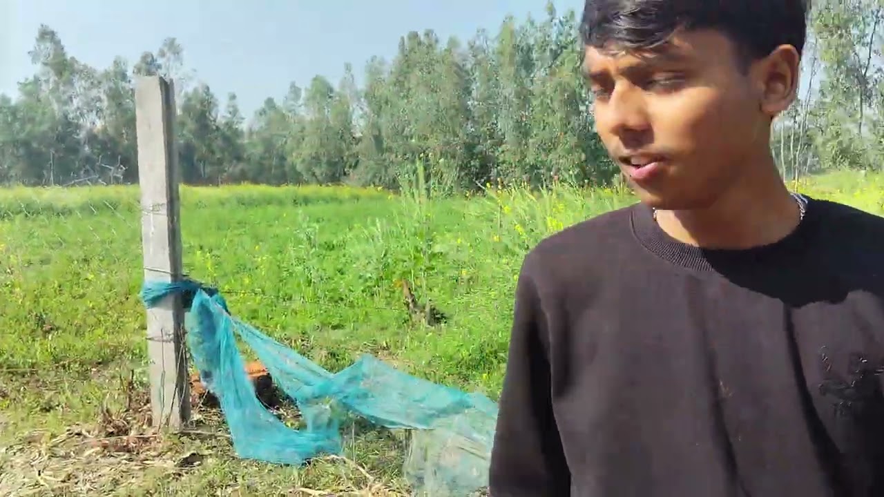 Village vlog video✨😂first day min vlog✨|first time min vlog river explore and village|explorevillage