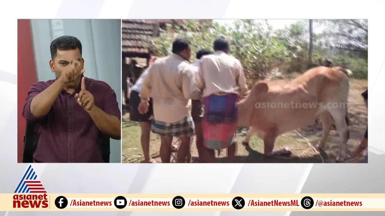 ആറ്റിങ്ങലിൽ കശാപ്പിന് കൊണ്ടുവന്ന കാള വിരണ്ടോടി വീട്ടമ്മയെ കുത്തിവീഴ്ത്തി | Attingal | Bull
