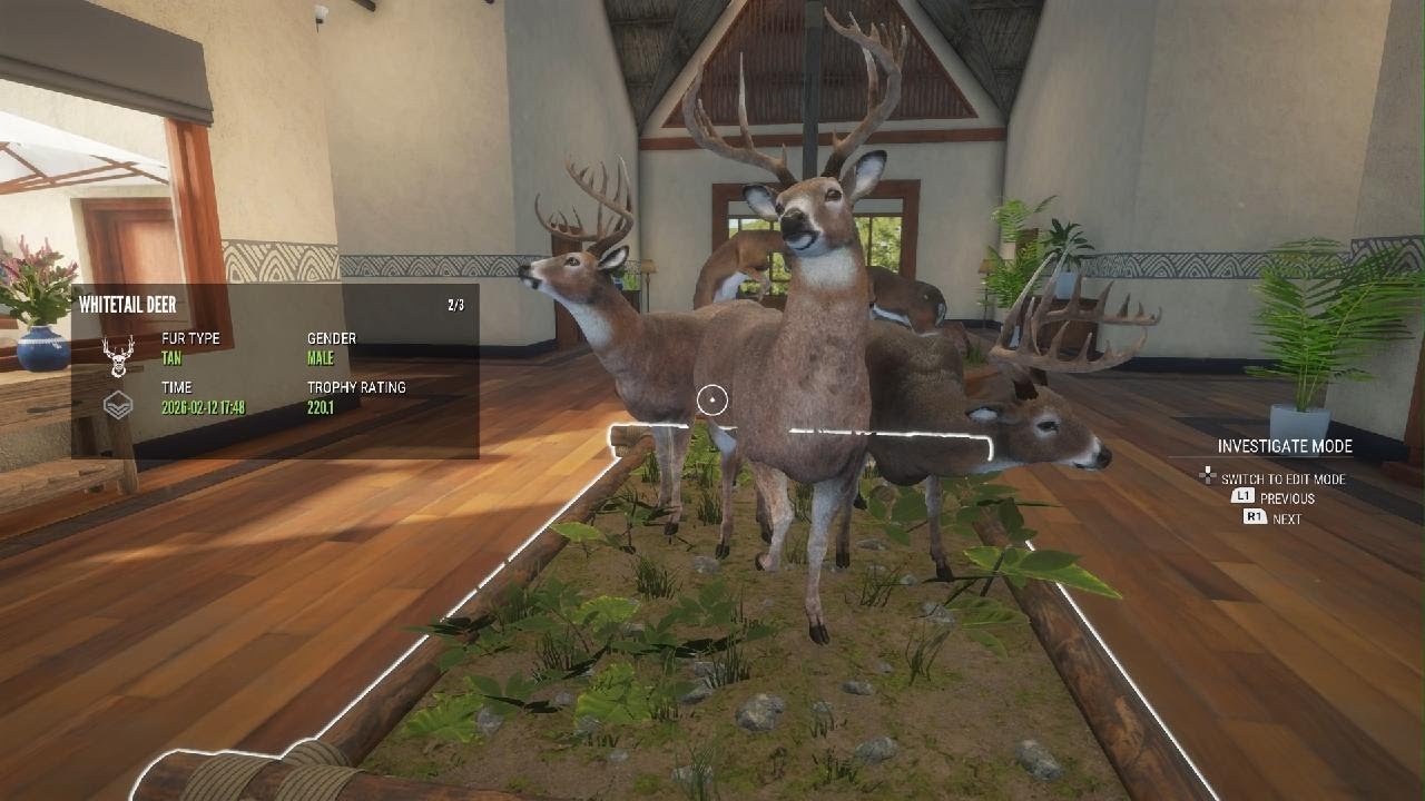 theHunter: Call of the Wild_taxidermies