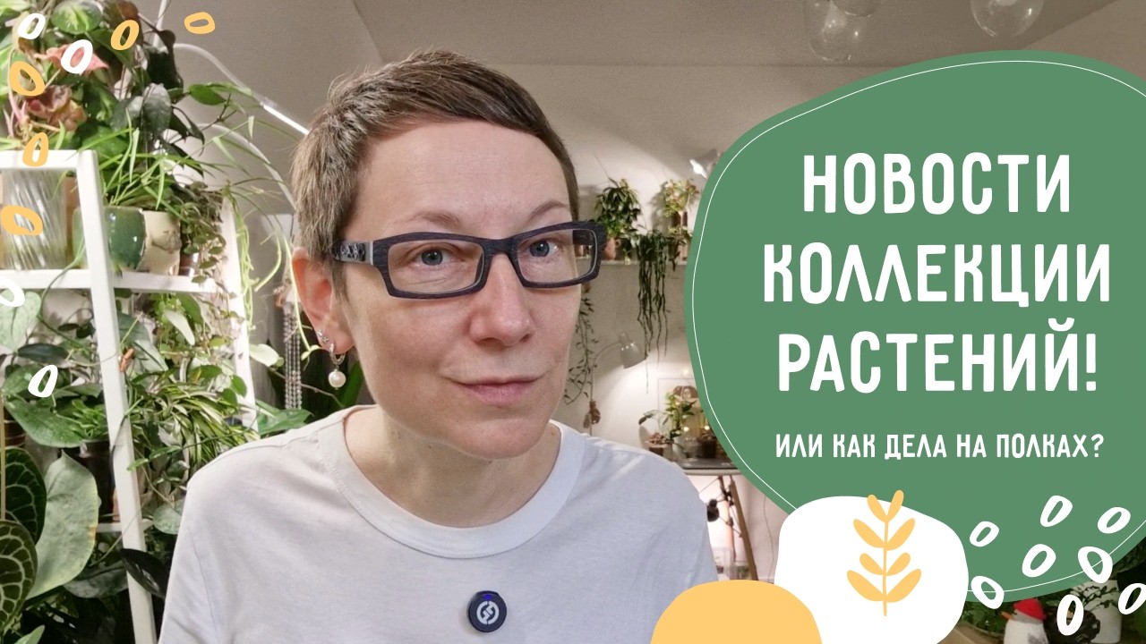 PLANT COLLECTION News: A WALK through my spaces, Fall 2026