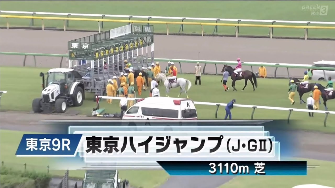 東京9R 第27回東京ハイジャンプ（J・GⅡ）