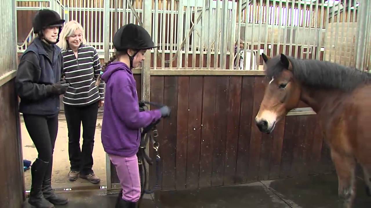 How rehoming a rescue horse is both simple and rewarding