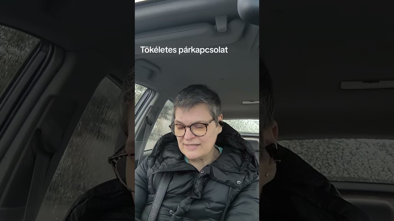A tökéletes párkapcsolat