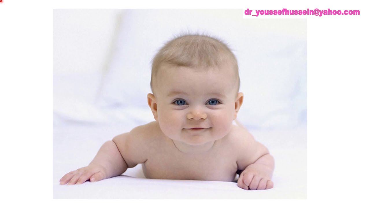 6. Fertilization | Steps | Results