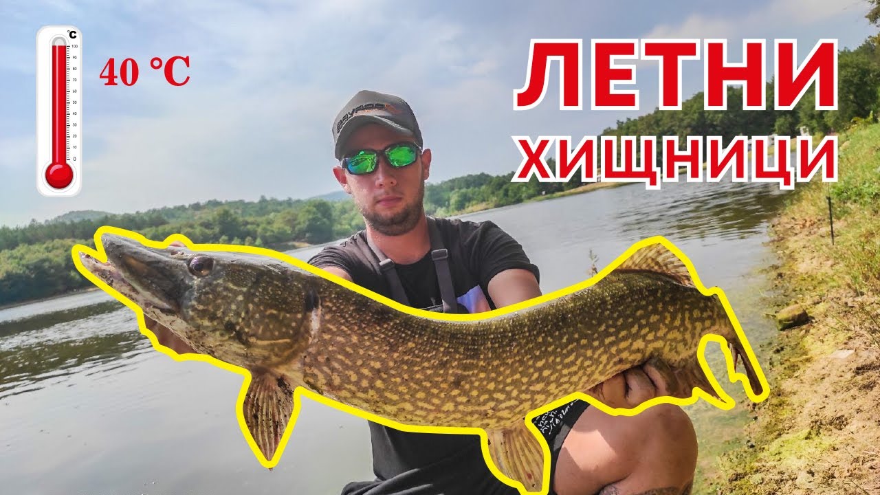 ЛЕТНИ ХИЩНИЦИ. РИБОЛОВ НА ЩУКА И СОМ