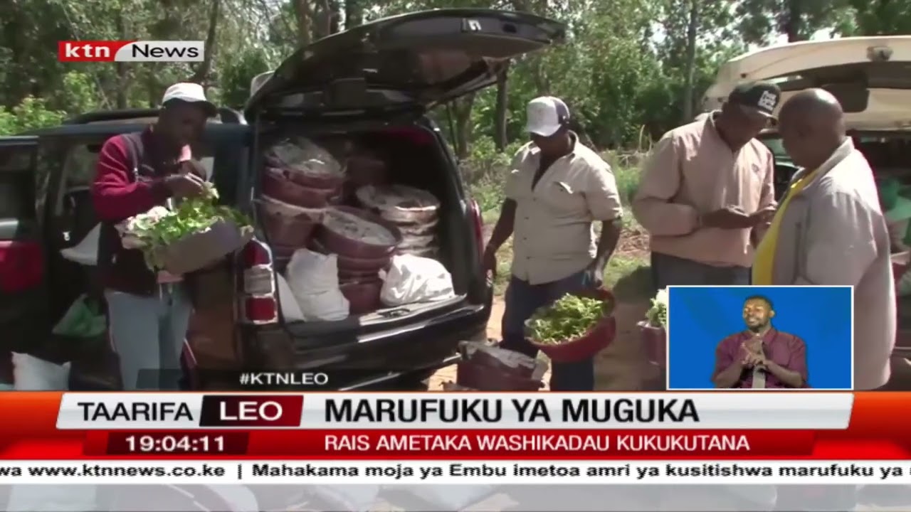Ruto aitisha mkutano wa kusuluhisha mzozo wa Muguka