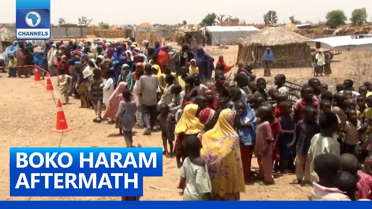 Yobe Government Provides Intervention To Thousands Of IDPs