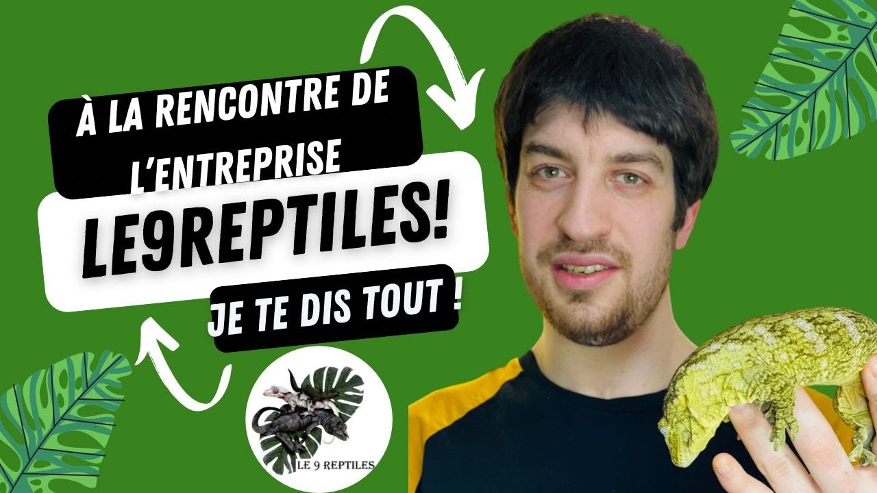 le 9 reptiles je te dit tout sur mon élevage