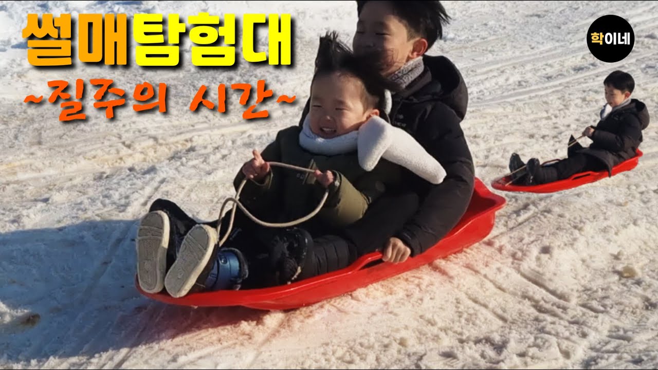 || 뮌스터담 || 브이로그 일상 || 썰매체험 || 대형카페 || 동백정원 || 대형주차장 ||  아이들과 가볼만한곳