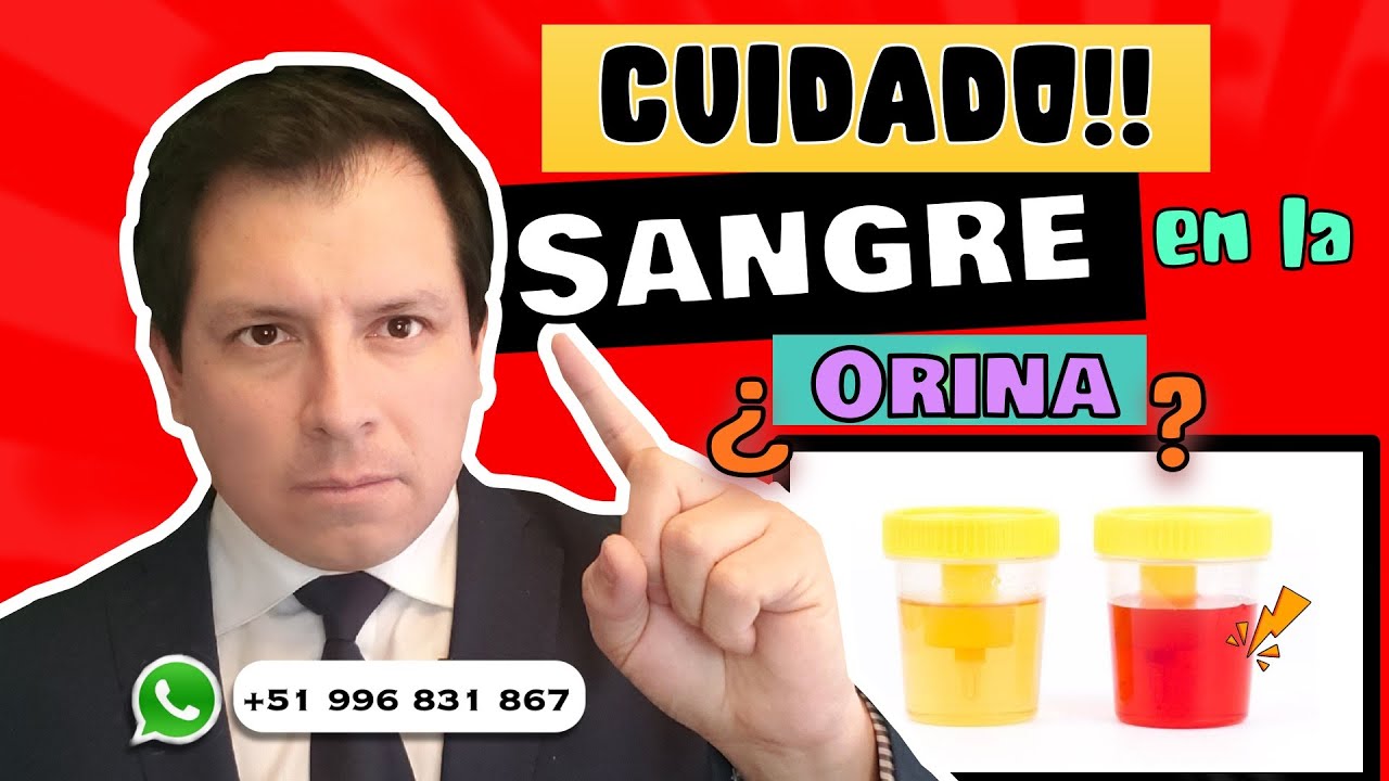 CUIDADO ⚠️ ¿SANGRE EN LA ORINA?¿POR QUÉ?