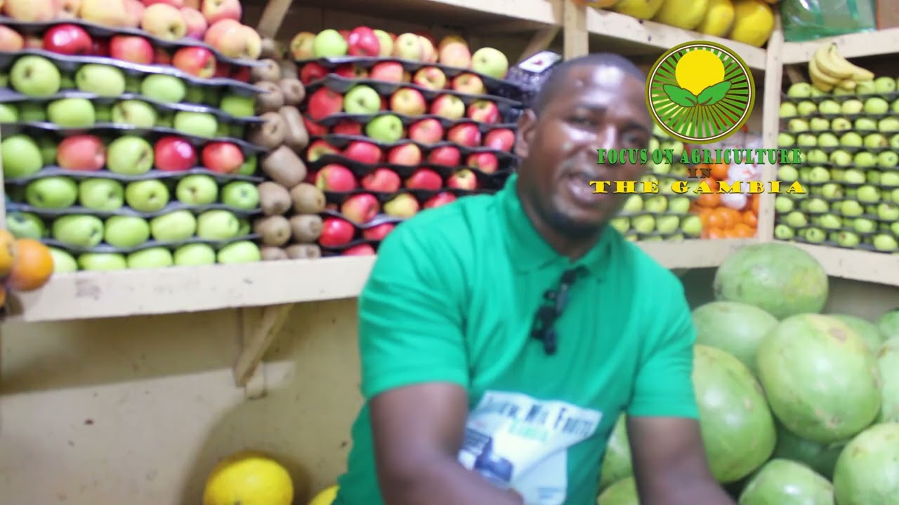 Small Start, Big Vision | Fruit Seller’s Journey in Banjul