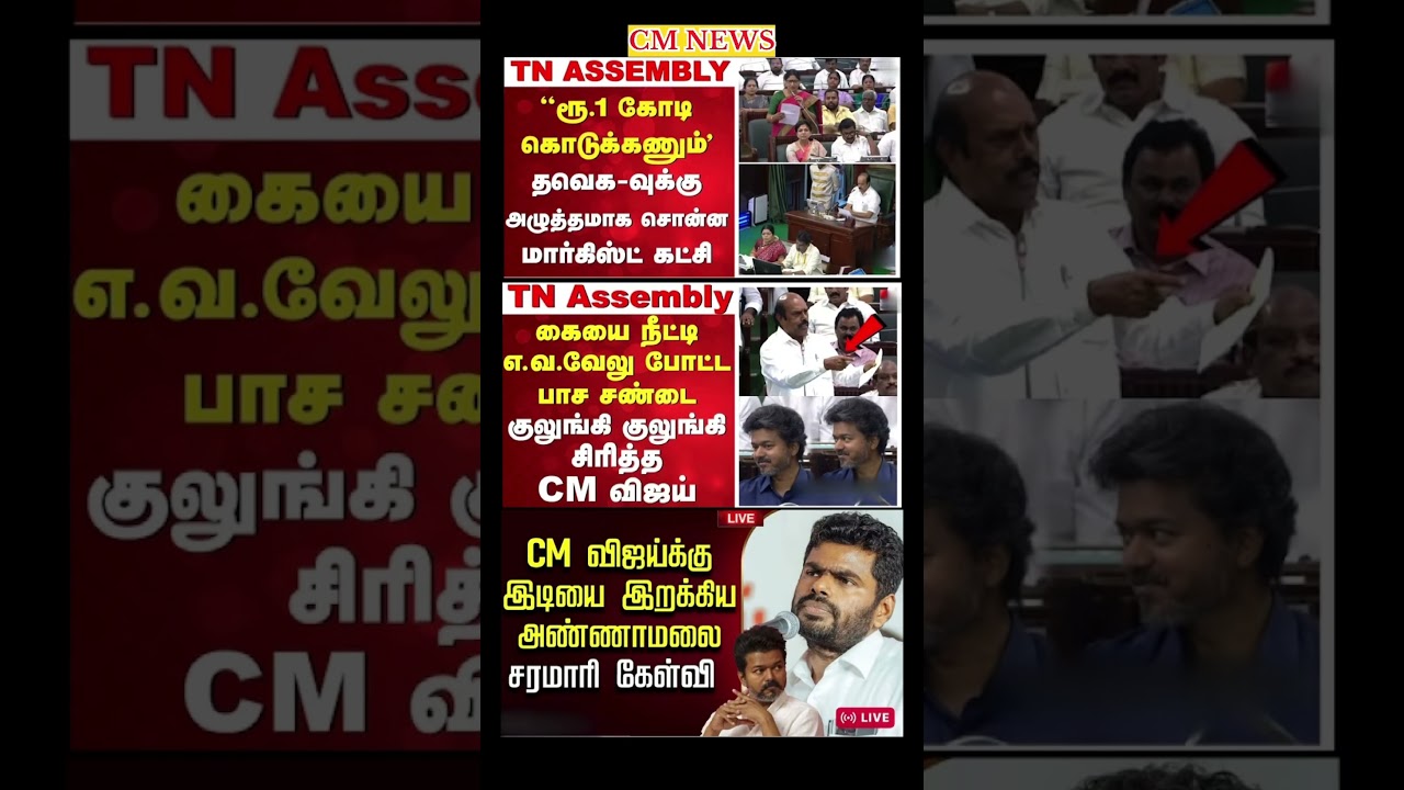 TVK Thalapathy vijay anna || #tvk#dmk#admk#congress#bjp#breakingnews#news#thalapathy#vijay#cjp