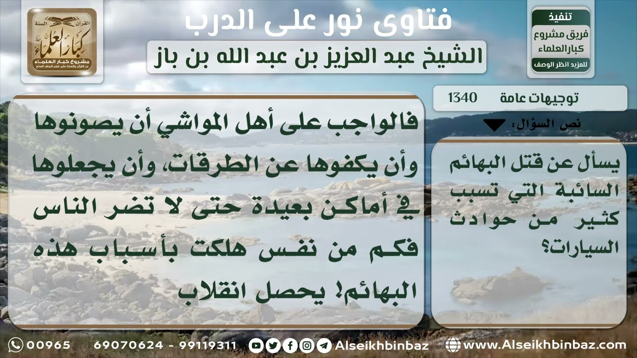 1340 - حكم قتل البهائم السائبة التي تسبب حوادث السيارات - نور على الدرب