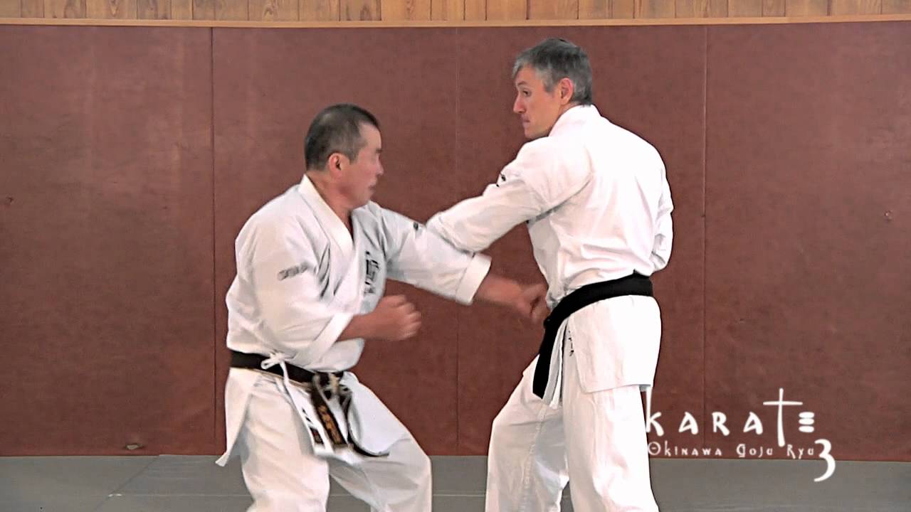 Zenei Oshiro - Okinawa Karat&eacute; Goju Ryu 3