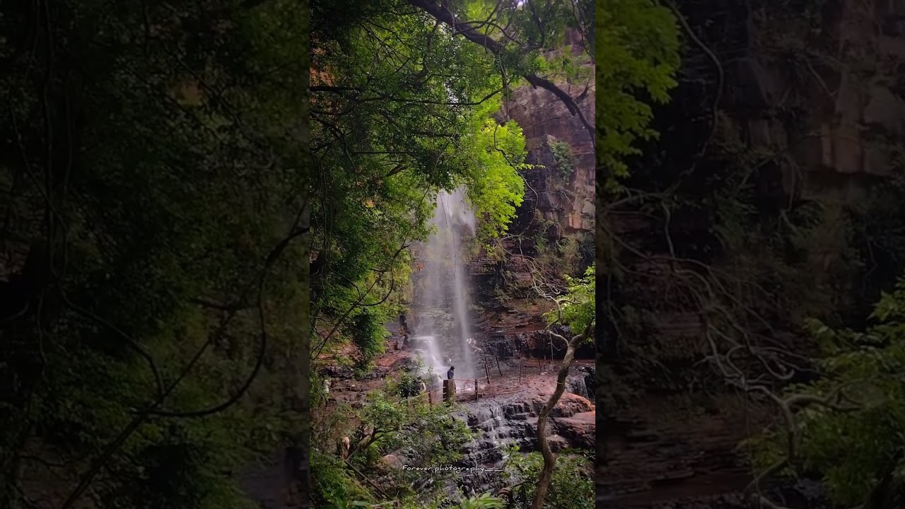 Talakona Trip Short #talakona #tirupati #waterfalls #tirupativisitingplaces