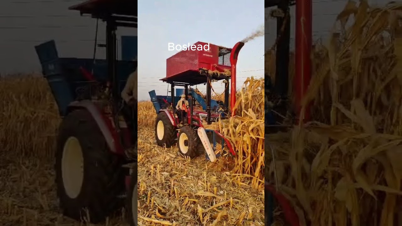 Boslead 2 in 1 corn and silage harvester in India.  #cornharvester #farmequipment