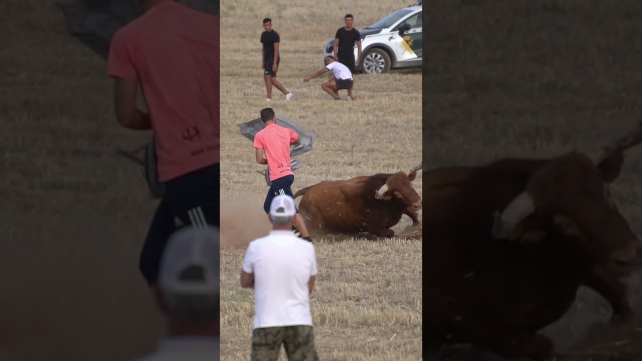 &iexcl;LE RECORTA EN EL CAMPO!  #encierro #miedo #peligro #recortes #toros