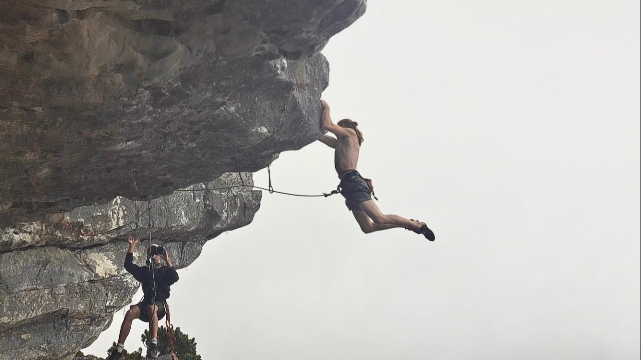 Tarantula (8a) | Underside
