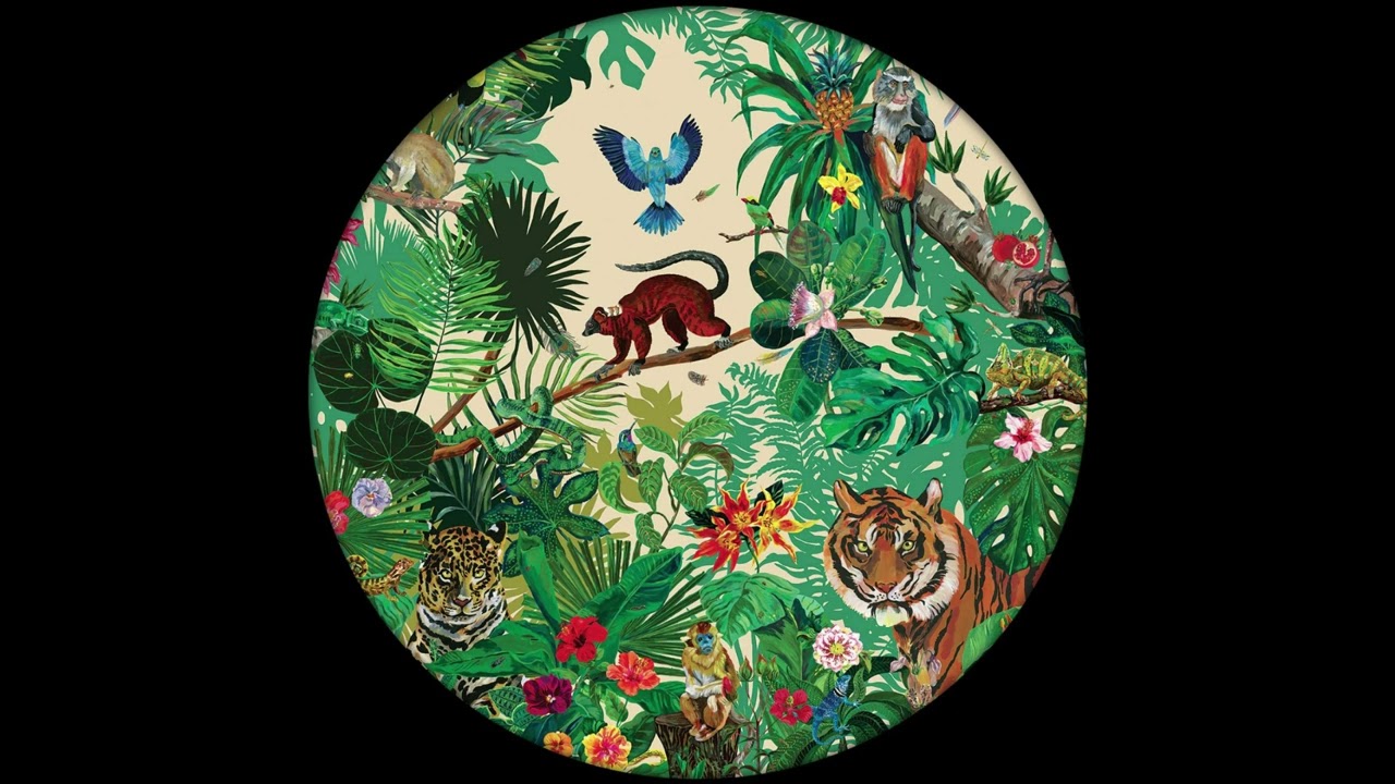 Cojoc - Trouble in the Jungle