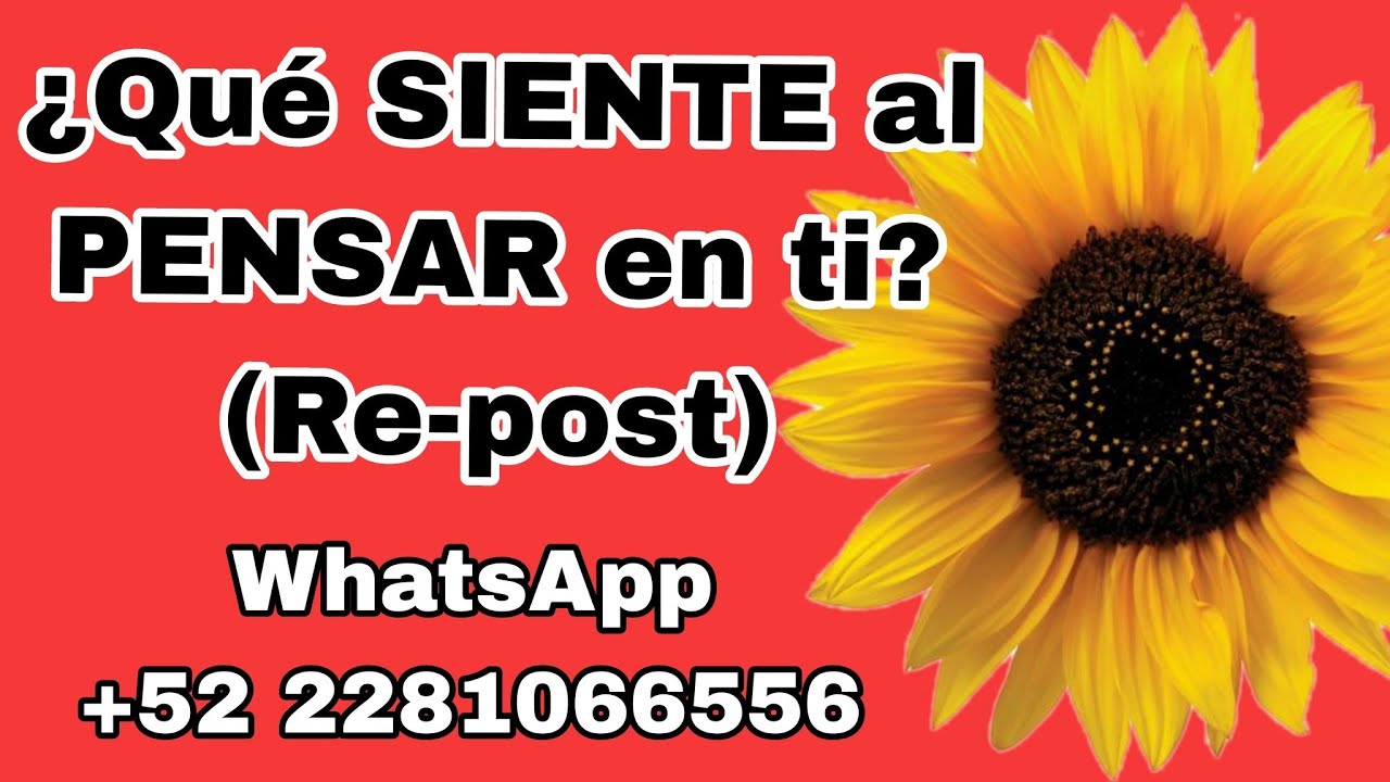 ¿Qué siente cuando piensa en ti?