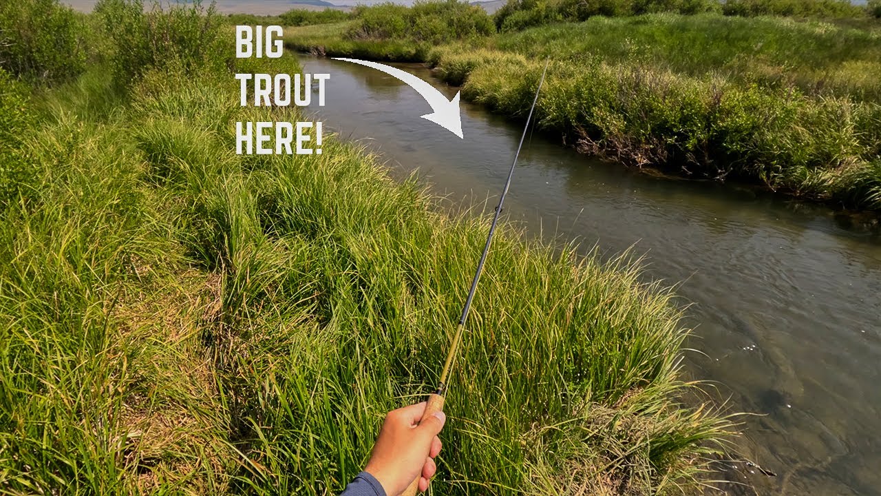 24 INCH Fish in Every Hole... (Fly Fishing Trout)