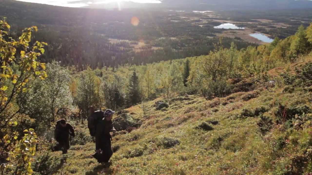 Exclusive Adventure - Lockjakt på älg/Moose hunt