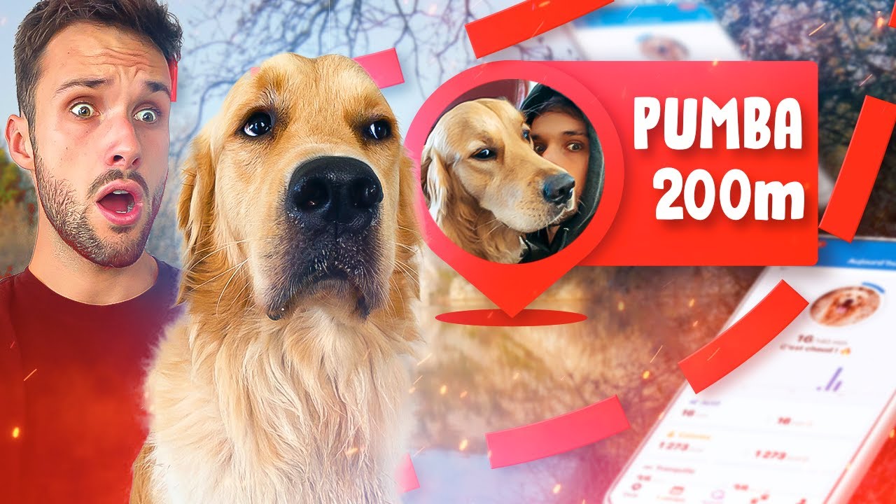 Je teste le traceur GPS Tractive avec Pumba et on se régale !