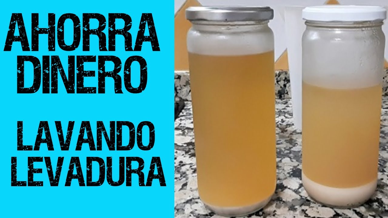 ✅ Ahorra dinero lavando levadura 🍺