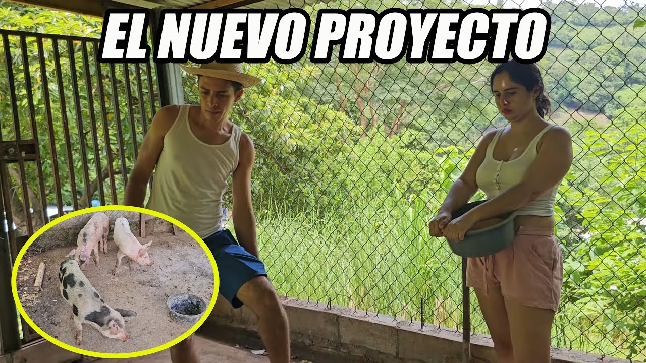 El nuevo emprendimiento de David.