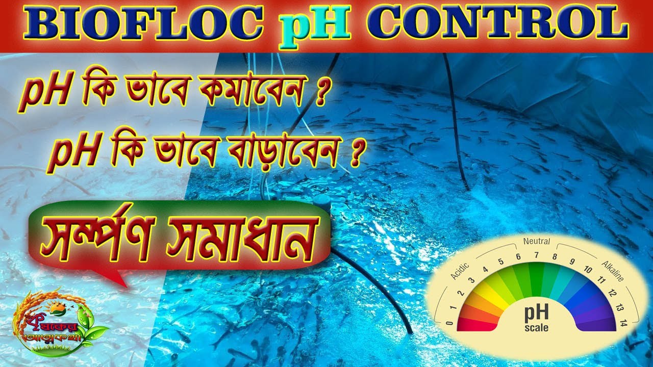 Biofloc pH Control /pH কি ভাবে কমাবেন , pH কি ভাবে বাড়াবেন, সম্পূর্ণ সমাধান
