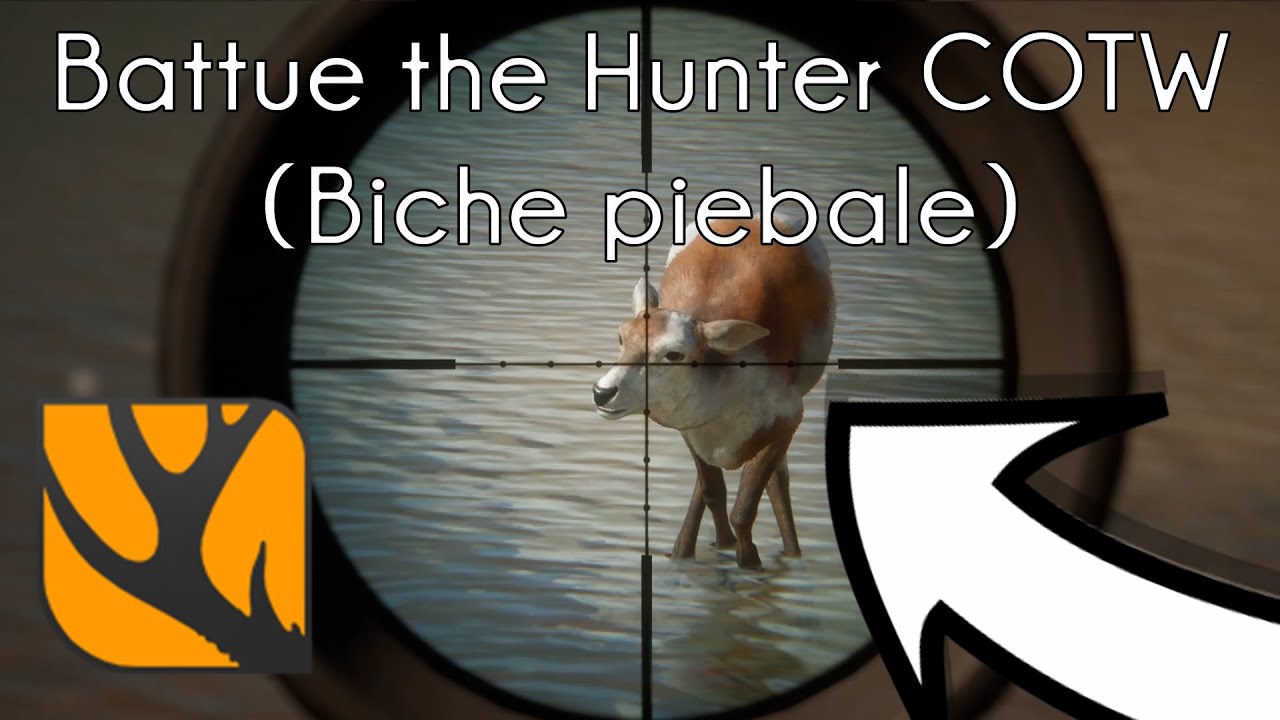 Compilation battue the Hunter Call of the Wild (Biche piebald)#2