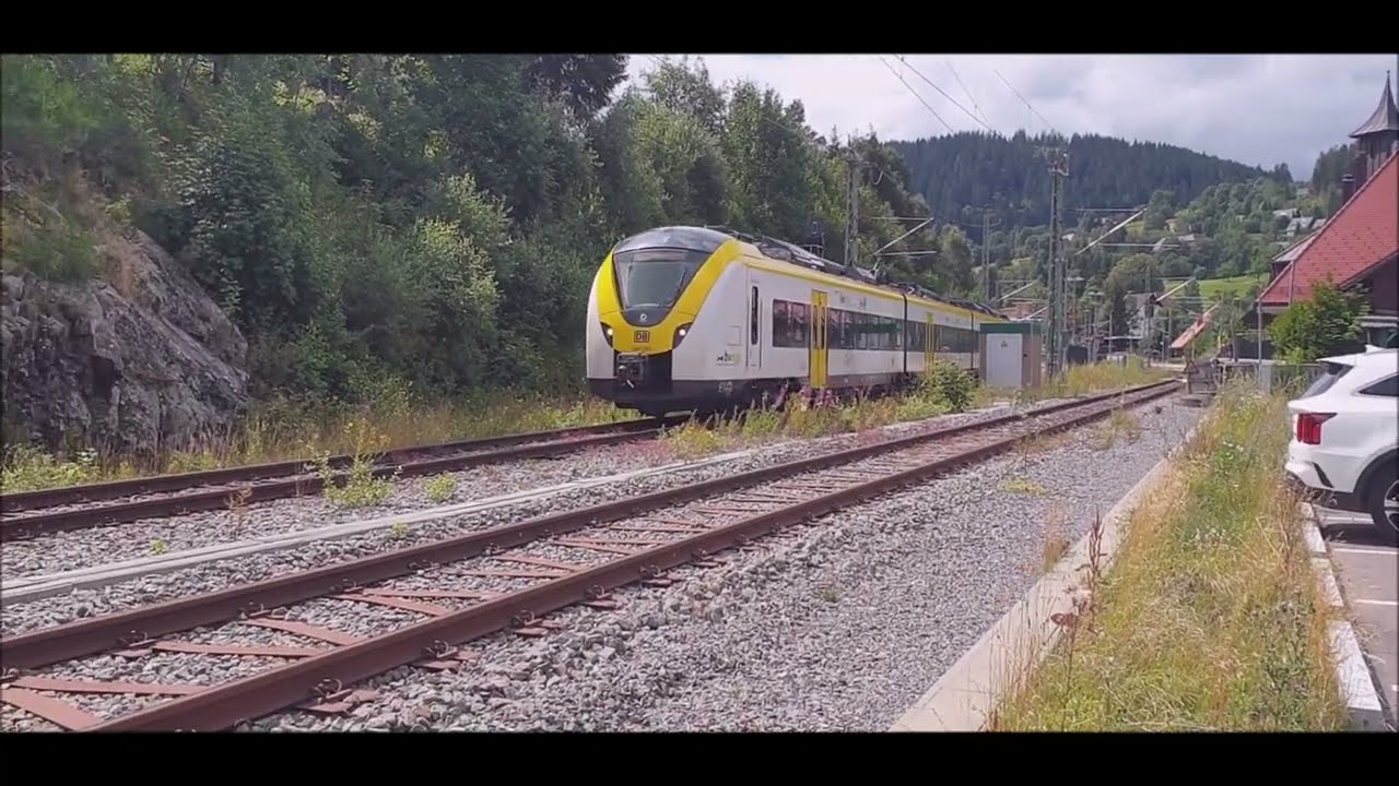 Bahnhof Bärental Schwarzwald #bahnhof #bärental #schwarzwald