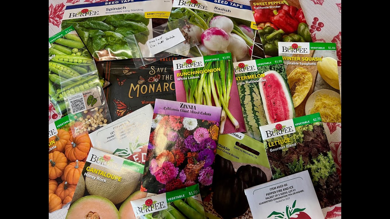 Seed Swap 2024 | Incredible Seed Exchange!