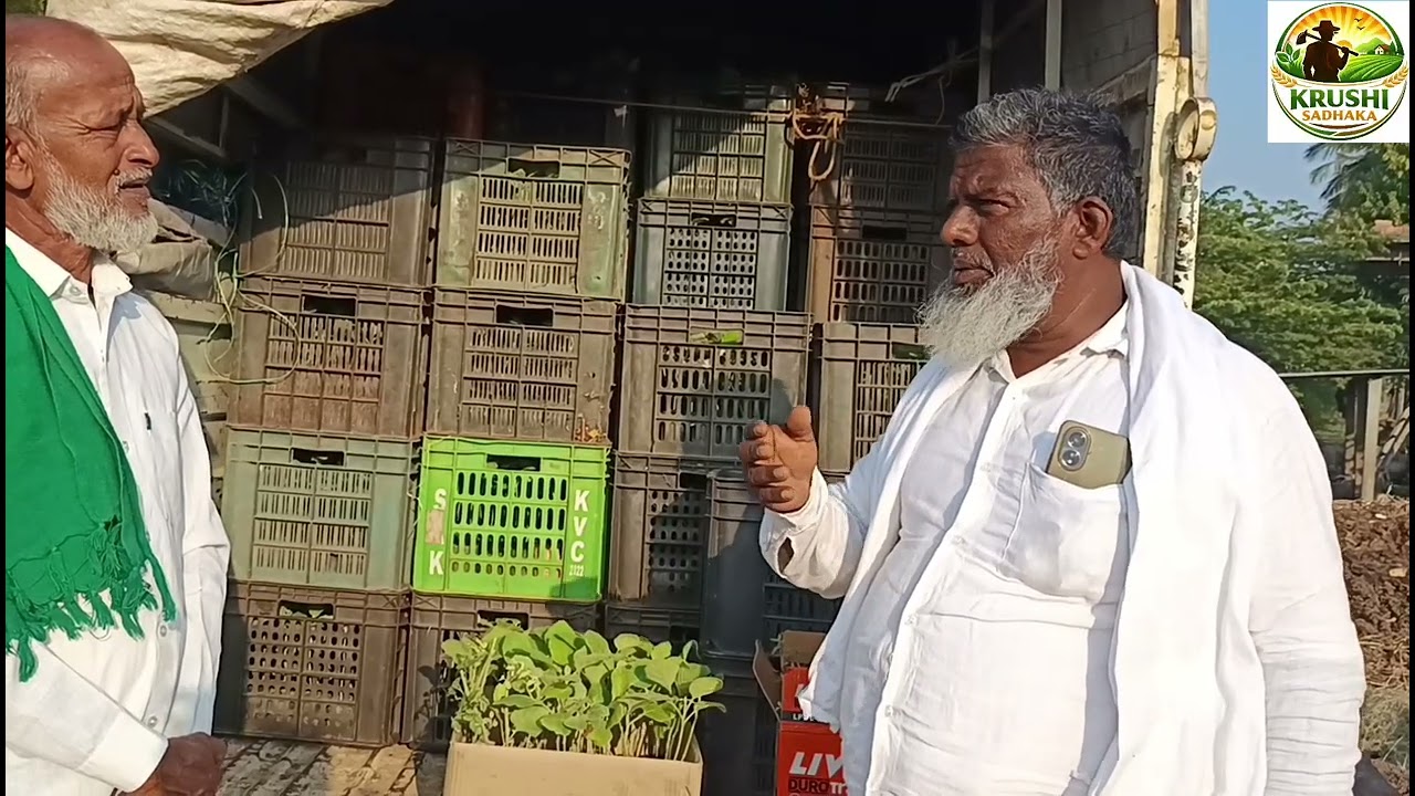 ಕೃಷಿ ಸಾಧಕ ಅಗ್ರಿ ಫಾರಂ ನಿಂದ ಮರಳಿ ಸಸಿಗಳ ವಿತರಣೆ 