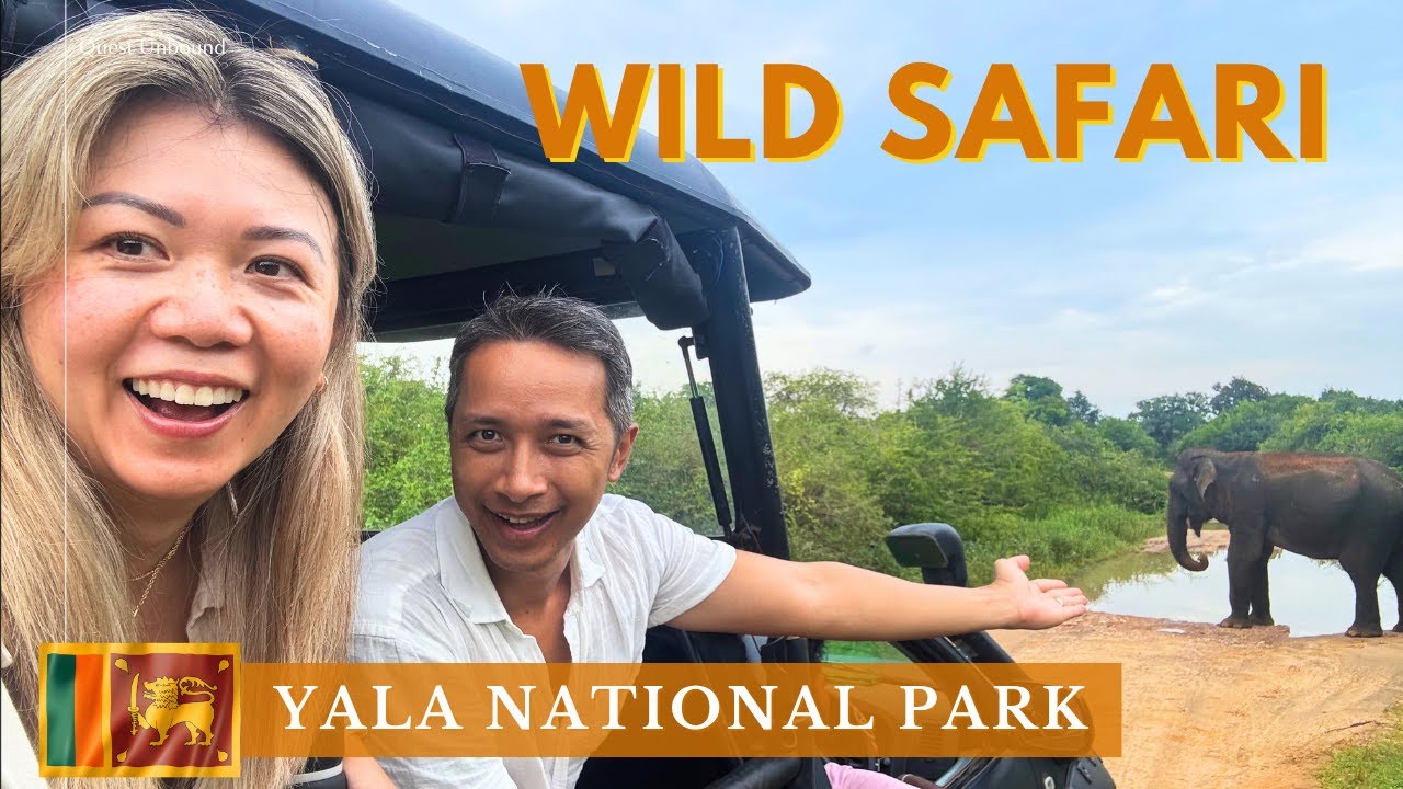 What REALLY Happened on our WILD Safari in Yala National Park