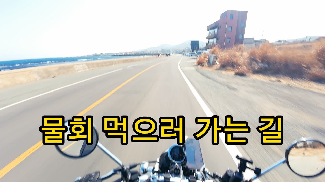 몽키125로 대구에서 호미곶까지 | 몽키125 슬로우 라이딩