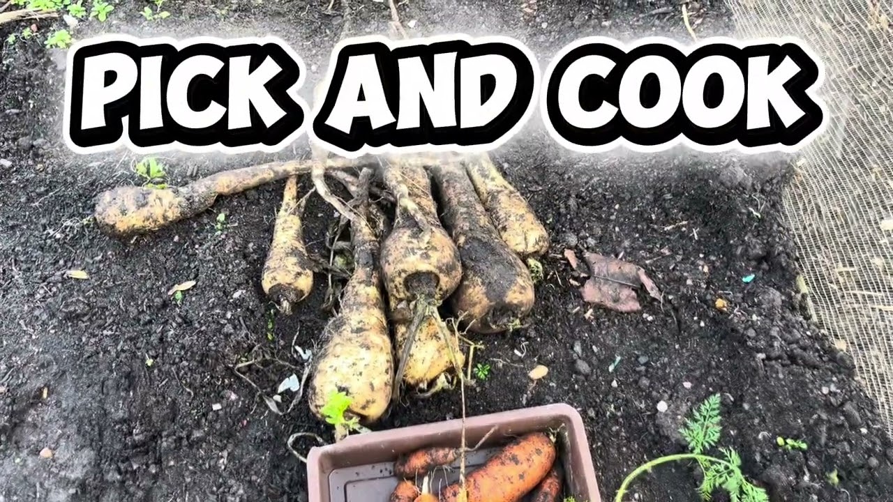 Roast parsnip chips pick and cook ￼