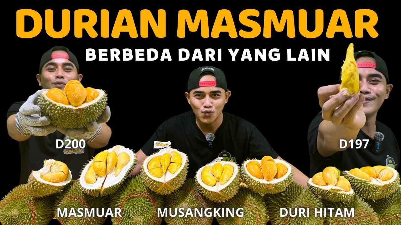 BERBEDA DARI YANG LAIN ⁉️ DURIAN MASMUAR / D168 #durian #durianmasmuar #duriandurihitam #musangking