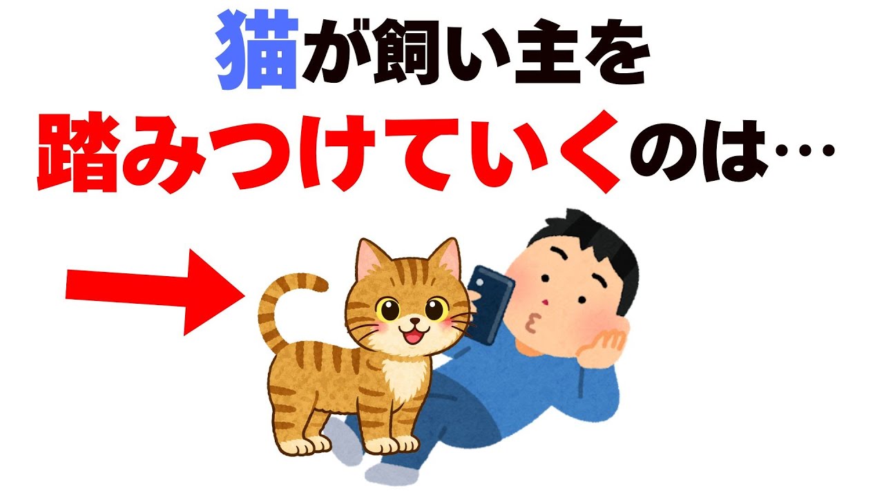 猫が飼い主を踏みつけていくのは・・・