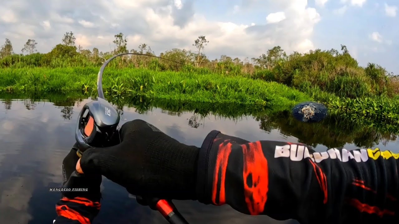 Biarpun Setia hari Dipancing Ga Akan Habis Ikan Disungai Ini II Mancing Casting