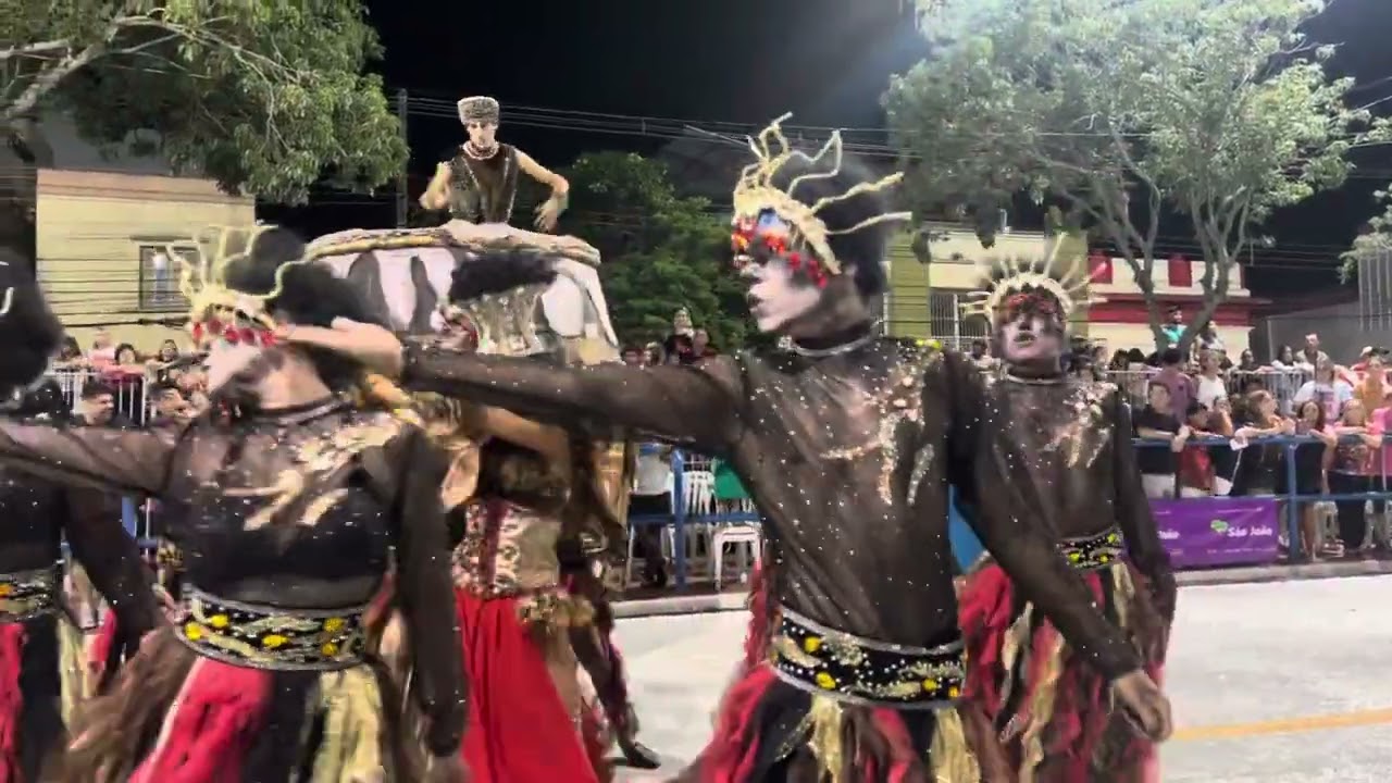 Deu Chucha na Zebra 2024 - Comissão de Frente e Casal de Mestre Sala e Porta Bandeira