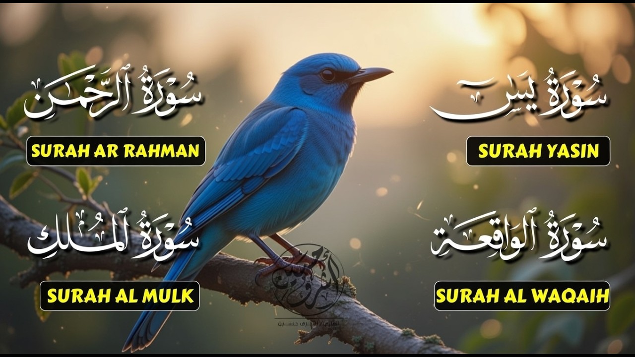 Very Nice Voice Surah Yaseen | Surah Rahman | Surah Waqiah | Surah Mulk l Reciter Ashraf Hussain 060